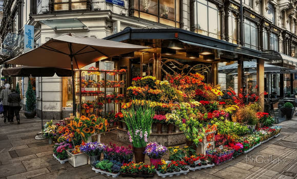 Beautiful Flower Shop