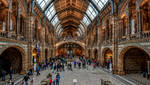 London - Natural History Museum by pingallery