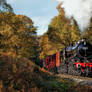 British Railway Steam Locomotive - B1 61264