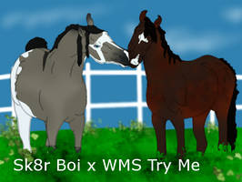 RRR Sk8r Boi x WMS Try Me - breeding pic - Smile!