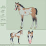 Foal - IceKitty1998