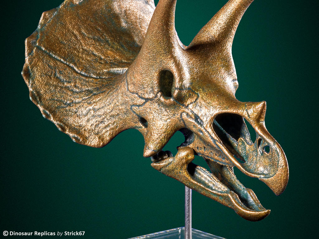 replica_triceratops_skull___3d_printed_model_by_strick67_dc4cjvi-fullview.jpg