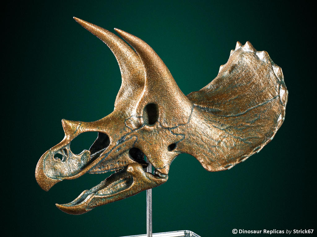 3d_printed_triceratops_skull___bronze_version_by_strick67_dc4ck2e-fullview.jpg