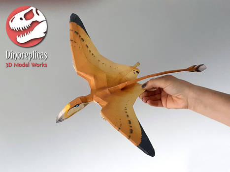 Papercraft Dimorphodon colour 02