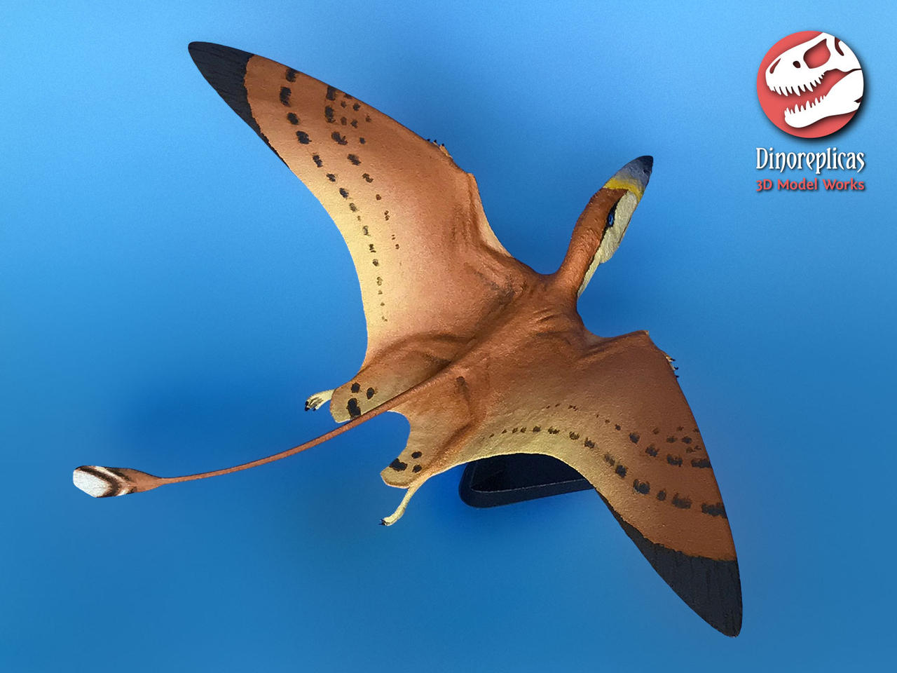 Dimorphodon 3D print pic 03a by Strick67 on DeviantArt
