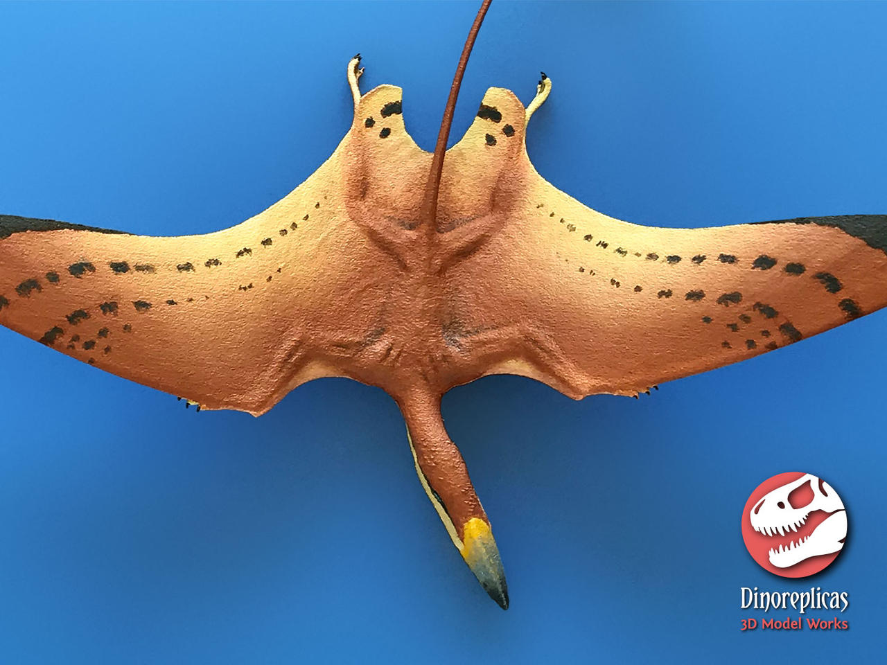 Dimorphodon 3D print pic 08b by Strick67 on DeviantArt