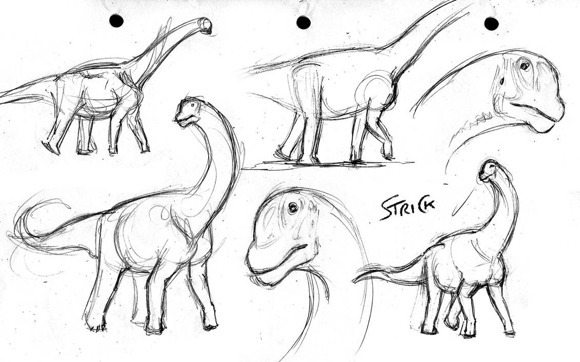 camarasaurus_studies_01_by_strick67_deds
