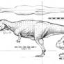 Ceratosaurus orthographic with skull