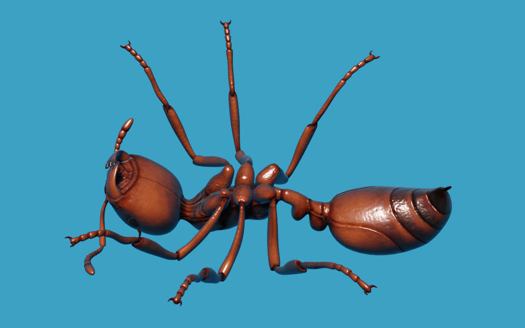 fire_ant_build_14_by_strick67_dfdu5l6-fullview.jpg