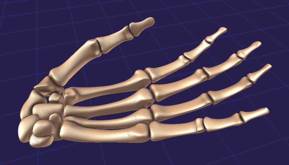 Hand Bones Screengrab 02 by Strick67 on DeviantArt