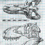 Tyrannosaurus rex orthographic - USNM 555000
