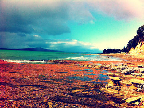 Auckland Beaches - iPhone Pic