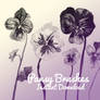 Pansy Brushes