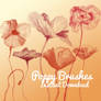 Poppy Brushes