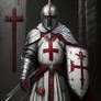 Holy crusader 