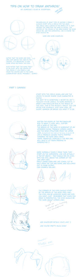 anthro drawing tips - canines