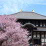 Todai-ji - 2