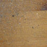 Texture: Metal Filings on Wood