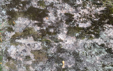 Texture: Old Stone and Lichen