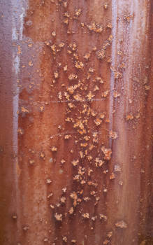 Texture: Guess What It Is Rust Again