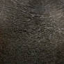 Texture: More Cracked Glass