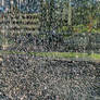 Texture: Cracked Glass Pane