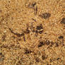 Texture: Sawdust