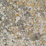 Texture: Rock XVIII