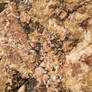 Texture: Rock XXIII