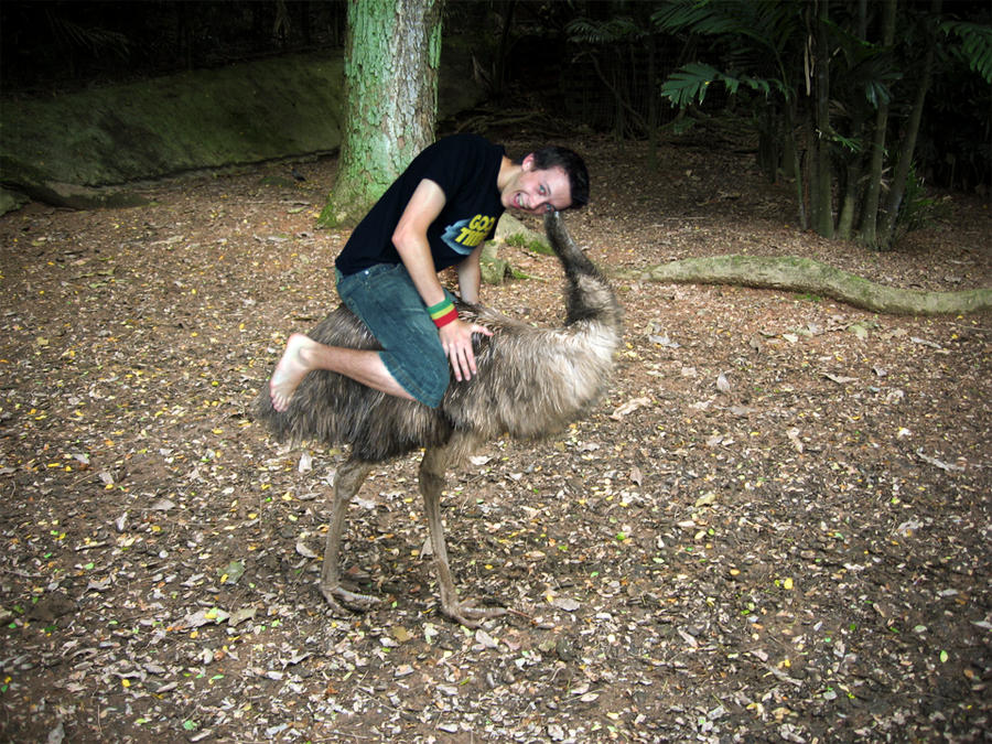 We Ride Emus in Australia by rhysie21 on DeviantArt