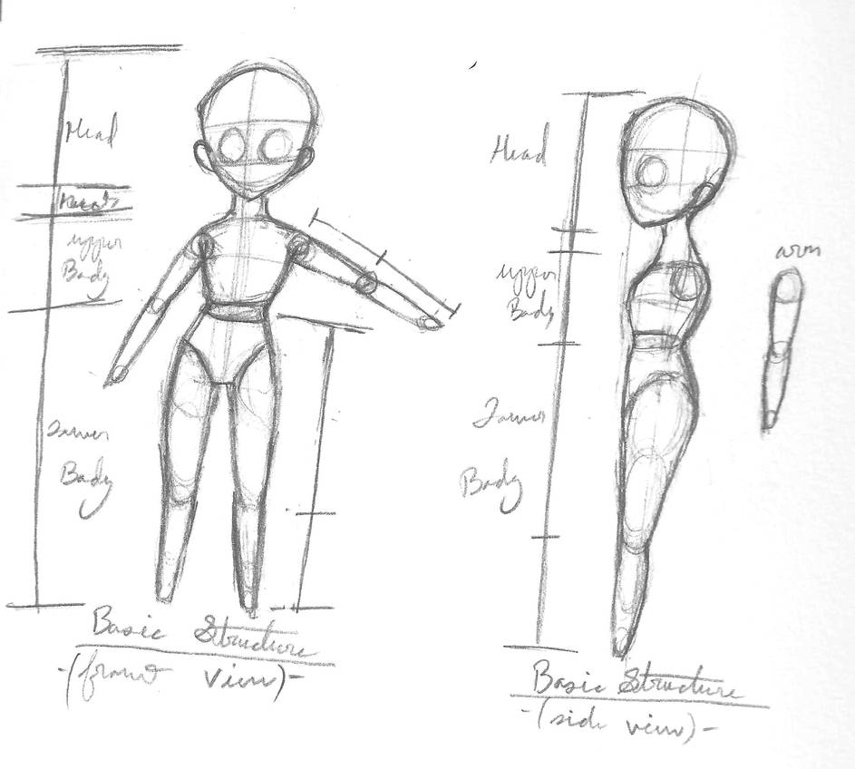 Chibi Body Structure Reference by FrostyLightning on