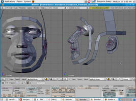 3D Male Head WIP