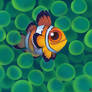 Clownfish