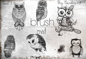 Previa Owl Part 2 By Canelita309