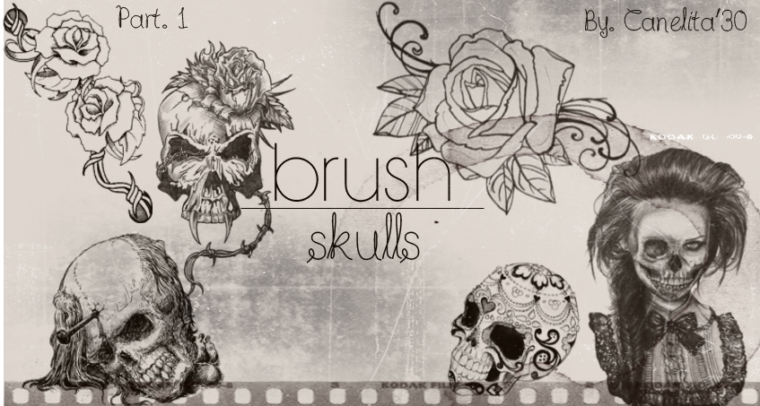 Skull Brushes Part 1 By Canelita309