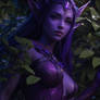 NightElf36