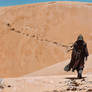 Wanderer