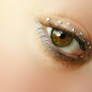 strass eye brown