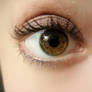 eye 27