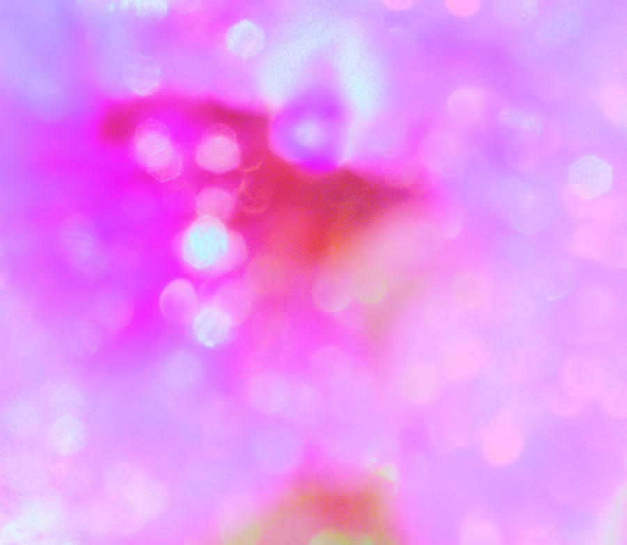 bokeh pink and white