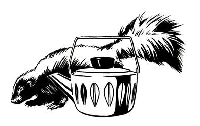 Skunk and Teapot