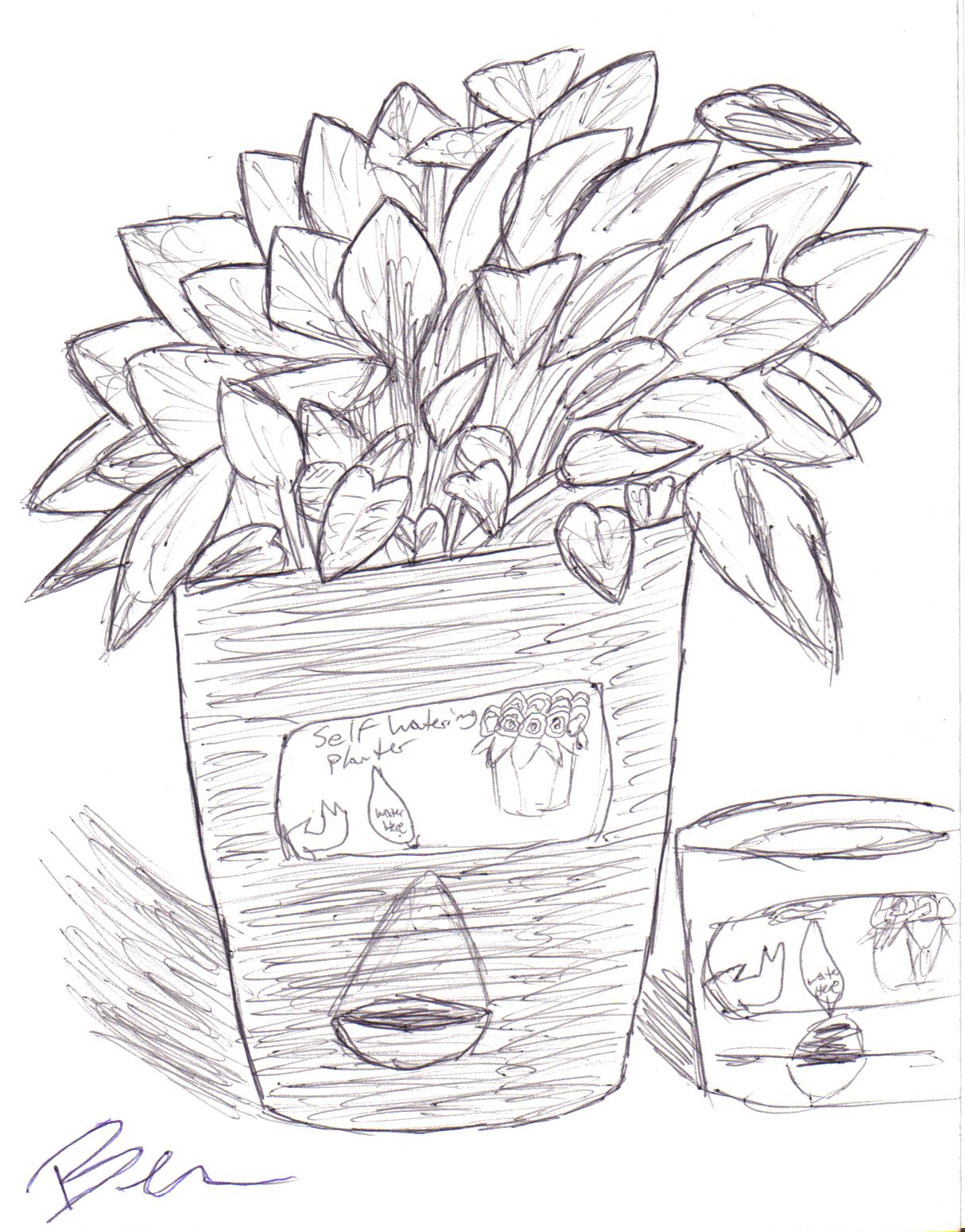 Potted Plant, Simple As That..