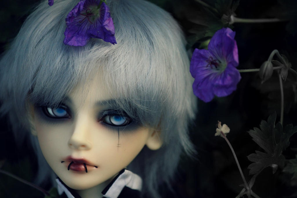 BJD. Nyth