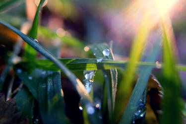 sunset in the drops