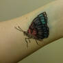 The Butterfly Project