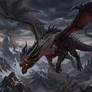Adult Black Dragon