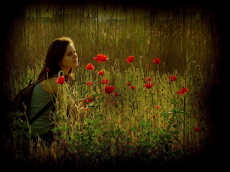 In the poppies