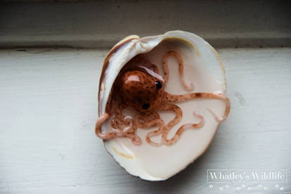 Octopus Sculpture - OOAK Fantasy Ocean Creature