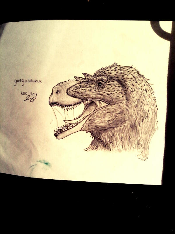 Gorgosaurus by TDC-Art7 on DeviantArt