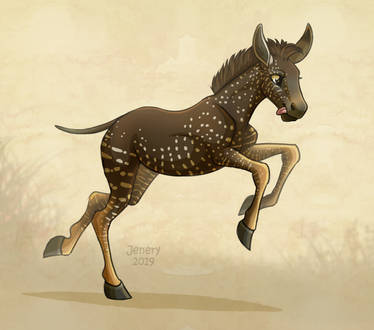 Melanistic foal
